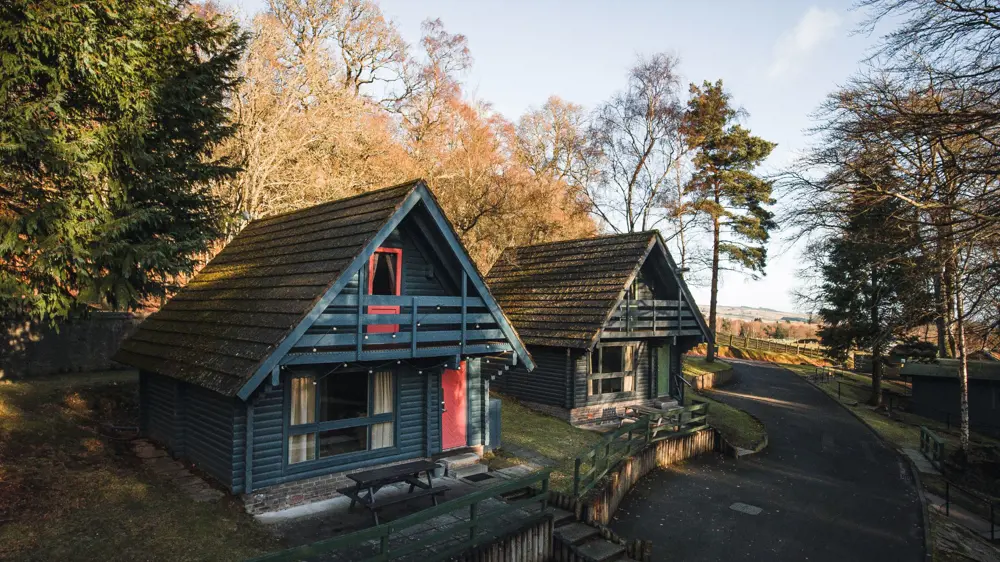 Cozy Cabins