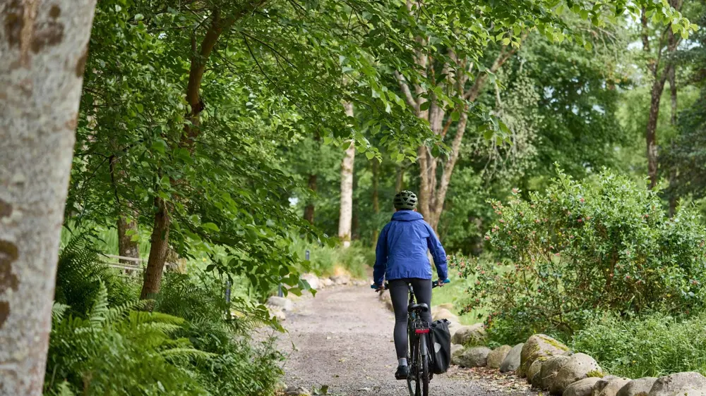 Woodlands Glencoe Activities