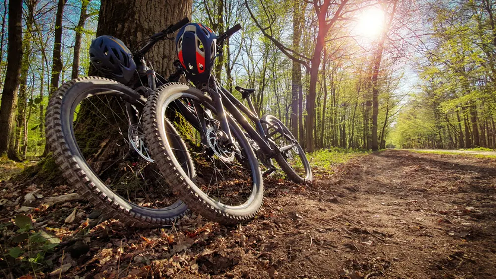 Mountain bike hire